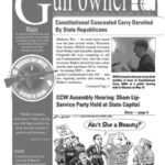 Download: WGO Newsletter, Spring 2011